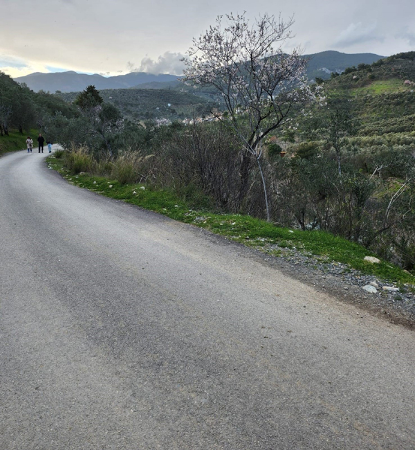 Arazi Görseli 4